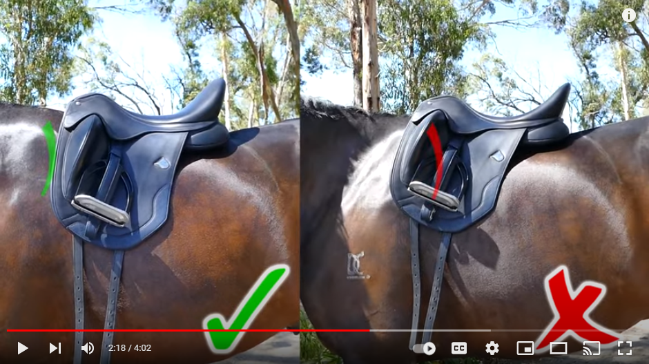 Where should your saddle sit?